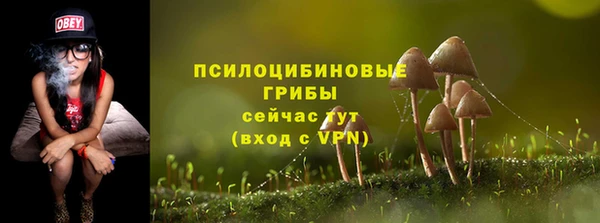 гидра Воткинск