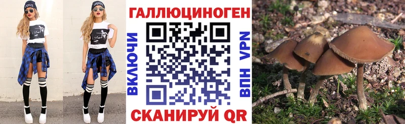 Псилоцибиновые грибы Cubensis даркнет сайт гидра ссылки Приволжск